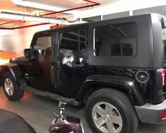 Jeep Wrangler Rubicon. 2010 - Bán Jeep Wrangler Rubicon năm 2010, màu đen, xe nhập  giá 1 tỷ 300 tr tại Hà Nội