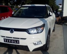 Ssangyong Ssangyong khác Tivoli  2016 - Tặng 50 đồng tiền mặt khi mua xe Ssangyong Tivoli tại Showroom Ssangyong miền nam giá 590 triệu tại Tp.HCM