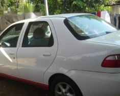 Fiat Albea   2007 - Bán xe cũ Fiat Albea đời 2007, màu trắng, giá chỉ 132 triệu giá 132 triệu tại Đắk Lắk