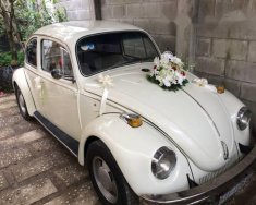 Volkswagen Beetle 1980 - Bán Volkswagen Beetle sản xuất 1980, màu trắng giá 250 triệu tại TT - Huế