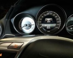 Mercedes-Benz C300 2013 - Cần bán lại xe Mercedes C300 đời 2013, màu bạc, nhập khẩu chính hãng chính chủ, giá 1000tr giá 1 tỷ tại Tiền Giang