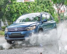 Volkswagen Polo 2017 - Bán xe Volkswagen Polo 2017 giá tốt nhất từ đại lý chính hãng, hỗ trợ trả góp, nhiều khuyến mãi hấp dẫn giá 690 triệu tại Hải Phòng