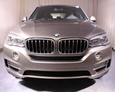 BMW X5 xDrive35i 2017 - Bán ô tô BMW X5 xDrive35i 2017, màu bạc giá 3 tỷ 788 tr tại Quảng Nam