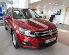 Volkswagen Tiguan 2017 - Bán xe Volkswagen Tiguan 2017, màu đỏ, nhập khẩu chính hãng. Tặng Bhvc, BHDS, Lh: Phượng 097.88.77754 giá 1 tỷ 290 tr tại Đồng Nai
