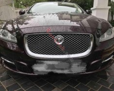 Jaguar XJL   2010 - Chính chủ bán Jaguar XJL đời 2010, màu nâu giá 2 tỷ 500 tr tại Hà Nội