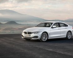 BMW 4 Series 420i Gran Coupe 2017 - Bán BMW 420i Gran Coupe đời 2017, màu trắng, nhập khẩu giá 2 tỷ 68 tr tại Đà Nẵng