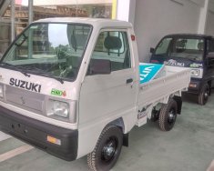 Suzuki Supper Carry Truck 2017 - Bán ô tô Suzuki 5 tạ tại Thái Bình khuyến mại thuế trước bạ 100% giao xe tận nơi. Hotline: 0936.581.668 giá 249 triệu tại Thái Bình