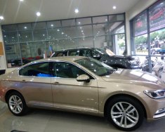 Volkswagen Passat CC 2016 - The New Passat - Volkswagen đến từ Đức - hỗ trợ trả góp ưu đãi lên đến 7 năm giá 1 tỷ 439 tr tại BR-Vũng Tàu