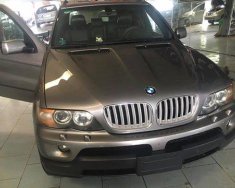 BMW X5 2004 - Bán ô tô BMW X5 đời 2004, màu ghi vàng   giá 540 triệu tại Đắk Lắk