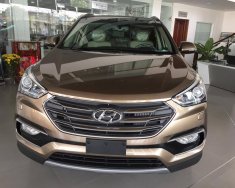 Hyundai Santa Fe 2.4AT 2WD 2017 - Bán xe Hyundai Santa Fe đời 2017 mới 100%, giá tốt, hỗ trợ vay vốn, lãi suất thấp. Liên hệ: 01887177000 Phú Yên giá 1 tỷ 111 tr tại Phú Yên