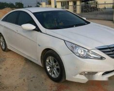 Hyundai Sonata  MT 2010 - Bán Hyundai Sonata MT đời 2010, màu trắng số sàn giá 550 triệu tại Hưng Yên