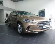 Hyundai Elantra 1.6 MT 2017 - Cần bán Hyundai Elantra 2017 giá tốt, hỗ trợ vay vốn 100%, liên hệ: 01887177000 Ninh Thuận giá 615 triệu tại Ninh Thuận