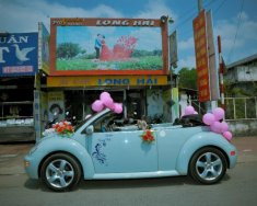 Volkswagen Beetle 2004 - Bán Volkswagen Beetle đời 2004, xe nhập, 540 triệu giá 540 triệu tại Bình Dương