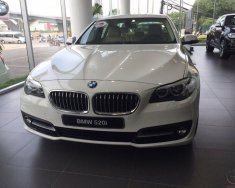 BMW 5 Series 520i 2016 - BMW Đà Nẵng bán xe BMW 5 Series 520i sản xuất 2016, màu trắng, nhập khẩu nguyên chiếc giá 2 tỷ 212 tr tại TT - Huế