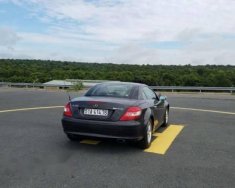 Mercedes-Benz SLK class 2005 - Bán Mercedes đời 2005, xe nhập giá 690 triệu tại BR-Vũng Tàu