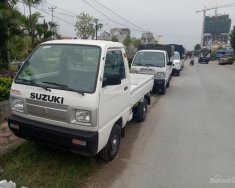 Suzuki Super Carry Truck 2017 - Bán Suzuki Supper Carry Truck 2017, màu trắng, xe giao ngay tại Bình Định- LH: 0915 240 992 giá 249 triệu tại Gia Lai
