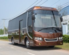 Samco Felix Limousine 2017 - Bán xe khách cao cấp Samco Felix Limousine 17 chỗ ngồi - động cơ 5.2 giá 1 tỷ 960 tr tại Tp.HCM