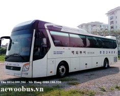 Hyundai Universe Noble 2012 - Bán xe Hyundai Universe Noble đời 2012, màu trắng, nhập khẩu Hàn Quốc giá 4 tỷ 250 tr tại Hà Nội