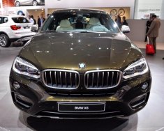 BMW X6 xDrive35i 2016 - Bán ô tô BMW X6 xDrive35i phiên bản 2017, nhập khẩu, màu Sparkling Storm, giá ưu đãi, giao xe sớm giá 3 tỷ 698 tr tại Gia Lai