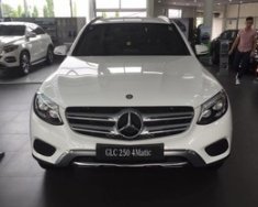 Chrysler 300 2017 - Mercedes GLC 250 - GLC 300 giao ngay, giá tốt nhất miền nam tại Mercedes Trường Chinh giá 1 tỷ 879 tr tại