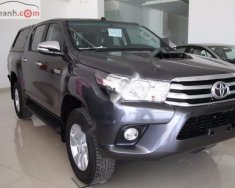 Toyota Hilux G MT 2017 - Cần bán Toyota Hilux G MT đời 2017, màu xám, xe nhập, giá 843tr giá 843 triệu tại Bình Thuận  