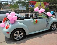 Volkswagen New Beetle 2004 - Cần bán Volkswagen New Beetle đời 2004, màu xanh lam, xe nhập giá cạnh tranh giá 517 triệu tại Bình Dương