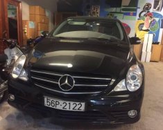 Mercedes-Benz R class  R300  2010 - Bán ô tô Mercedes R300 đời 2010, màu đen, nhập khẩu  giá 1 tỷ 250 tr tại Tp.HCM