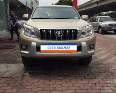 Toyota Prado TXL 2009 - Cần bán gấp Toyota Prado TXL đời 2009, màu vàng, nhập khẩu chính chủ giá 1 tỷ 280 tr tại Hà Nội