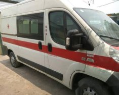 Fiat Ducato   2008 - Cần bán lại xe Fiat Ducato đời 2008, 215tr giá 215 triệu tại Hà Nội