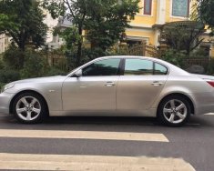 BMW 5 Series 520i 2004 - Bán BMW 5 Series 520i đời 2004, màu bạc, nhập khẩu giá 399 triệu tại Hà Nội