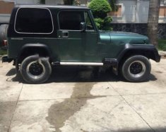 Jeep Wrangler 1995 - Bán ô tô Jeep Wrangler đời 1995, màu xanh lam, xe nhập số tự động  giá 180 triệu tại Bình Dương