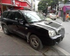 Hyundai Santa Fe Gold 2002 - Bán Hyundai Santa Fe Gold đời 2002, màu đen  giá 266 triệu tại Hà Nội