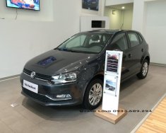 Volkswagen Polo 2017 - Polo Hatchback xe thương hiệu Đức nhập khẩu - LH Quang Long 0933689294 giá 695 triệu tại Lâm Đồng