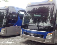 Hyundai Universe 2011 - Cần bán lại xe Hyundai Universe đời 2011, màu xanh lam, nhập khẩu Hàn Quốc giá 3 tỷ 548 tr tại Hà Nội