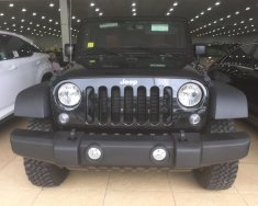 Jeep Wrangler Rubicon 2017 - Bán Jeep Wrangler Rubicon đời 2017, màu đen, xe nhập giá 4 tỷ tại Hà Nội