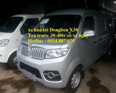 Dongben X30 2017 - Bán xe tải van Dongben X30 2 chỗ (950kg) - 5 chỗ (695kg) đi vào thành phố giờ cấm giá 275 triệu tại Tp.HCM