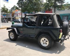 Jeep Wrangler MT 1995 - Cần bán lại xe Jeep Wrangler đời 1995, màu xanh lam, nhập khẩu số sàn giá 450 triệu tại Tp.HCM