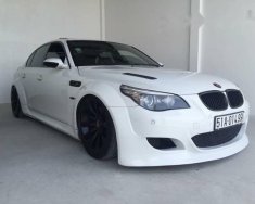 BMW M5   2007 - Bán BMW M5 năm 2007, màu trắng, nhập khẩu nguyên chiếc giá 1 tỷ 600 tr tại Tp.HCM