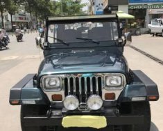 Jeep Wrangler 1995 - Bán xe Jeep Wrangler đời 1995, xe nhập số sàn giá cạnh tranh giá 450 triệu tại Tp.HCM
