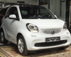 Smart Fortwo 1.0L 2017 - Bán Smart Fortwo 1.0L đời 2017, màu trắng, xe nhập giá 956 triệu tại Hà Nội