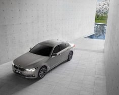 BMW 5 Series 2016 - Bán ô tô BMW 5 Series đời 2016, xe nhập giá 3 tỷ tại Tiền Giang