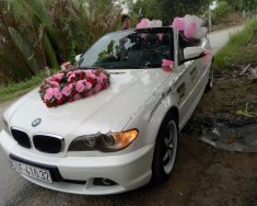BMW 3 Series 2007 - Bán xe BMW 3 Series sản xuất 2007, màu trắng, nhập khẩu giá 545 triệu tại Vĩnh Long
