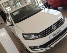 Volkswagen Polo 2016 - Bán ô tô Volkswagen Polo đời 2016, màu trắng  giá 690 triệu tại Đắk Lắk