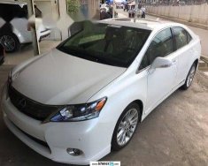 Lexus HS  250h  2010 - Cần bán xe Lexus HS 250h đời 2010, màu trắng, xe nhập giá 495 triệu tại Hà Nội