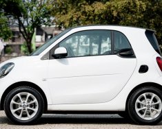 Smart Fortwo Passion 2016 - Bán Mercedes Smart Fortwo Passion 2016, màu trắng, nhập khẩu giá 933 triệu tại Hà Nội