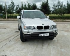 BMW X5 2003 - Bán BMW X5 2003, màu bạc, xe nhập, chính chủ, 340 triệu giá 340 triệu tại Quảng Nam