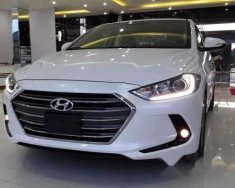 Hyundai Elantra   2017 - Cần bán xe Hyundai Elantra đời 2017, màu trắng số tự động giá 600 triệu tại Bạc Liêu