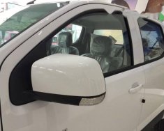 Chevrolet Colorado   2017 - Cần bán Chevrolet Colorado đời 2017, màu trắng, 619tr giá 619 triệu tại Bình Định