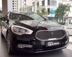 Kia K9 2017 - Kia K9 đẳng cấp 2017, hỗ trợ trả góp 90%, Lh Việt 0988336630 giá 2 tỷ 708 tr tại Hà Nội