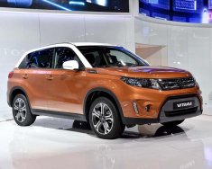 Suzuki Grand vitara 2016 - Bán Suzuki Grand Vitara đời 2016, hai màu, nhập khẩu, 679 triệu giá 679 triệu tại Lâm Đồng